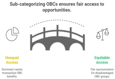 Why Do We Need Sub-categorization of OBCs?