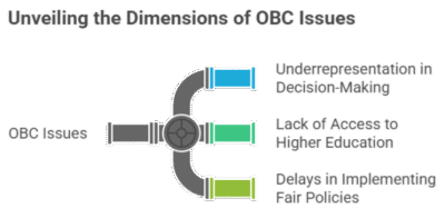 Why Ignoring OBC Issues Is a Threat to Social Justice