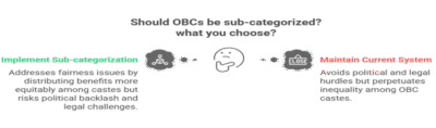 Why Sub-Categorization Matters for Social Justice