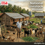 National Livestock Mission 2026: Subsidy, Eligibility, Benefits & How to Apply Online
